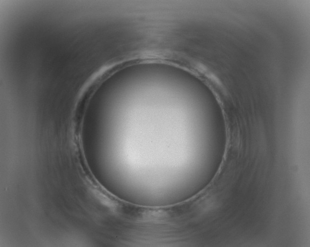 X0000083561454200702091112