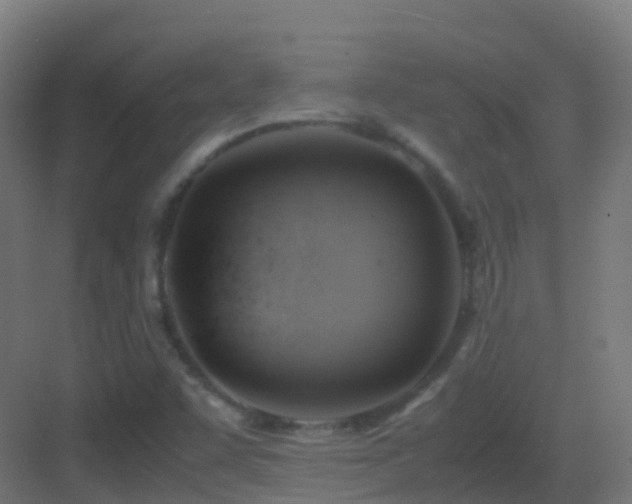 X0000083561455200702091112