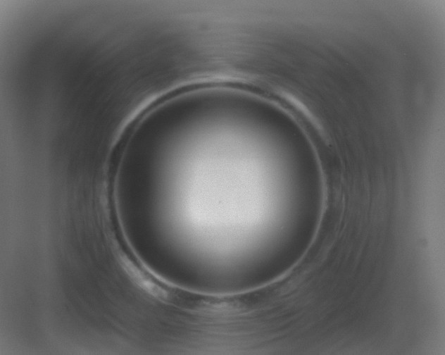 X0000083561460200702091112