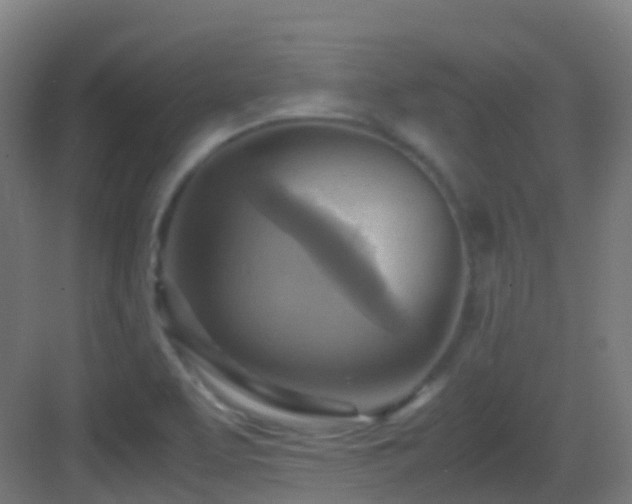 X0000083561463200702091112
