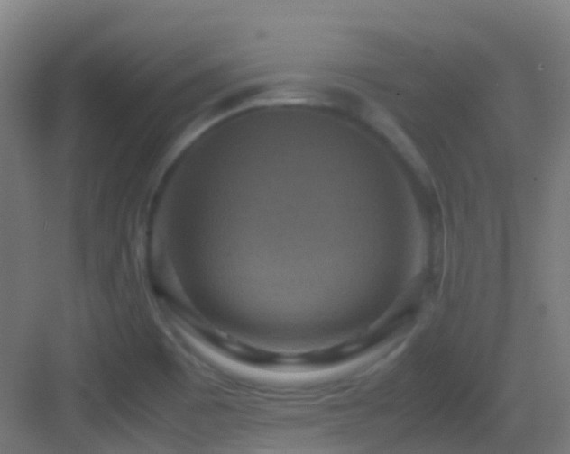 X0000083561465200702091112