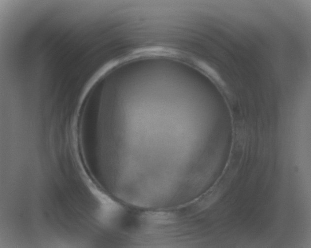 X0000083561474200702091112