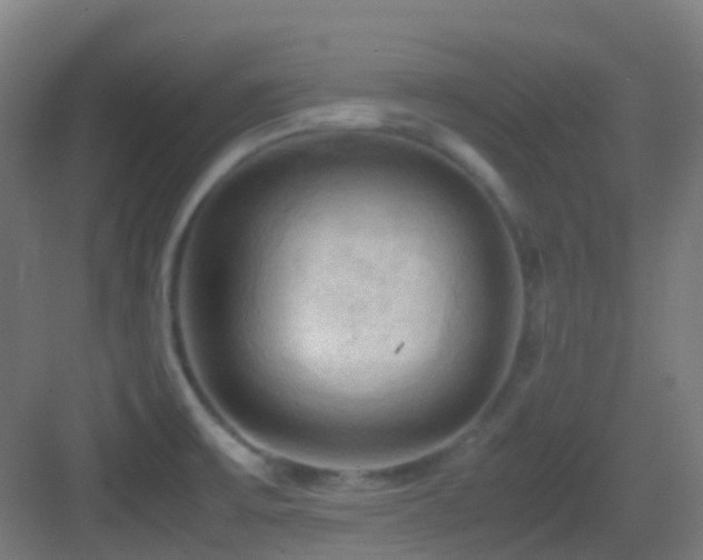 X0000083561475200702091112