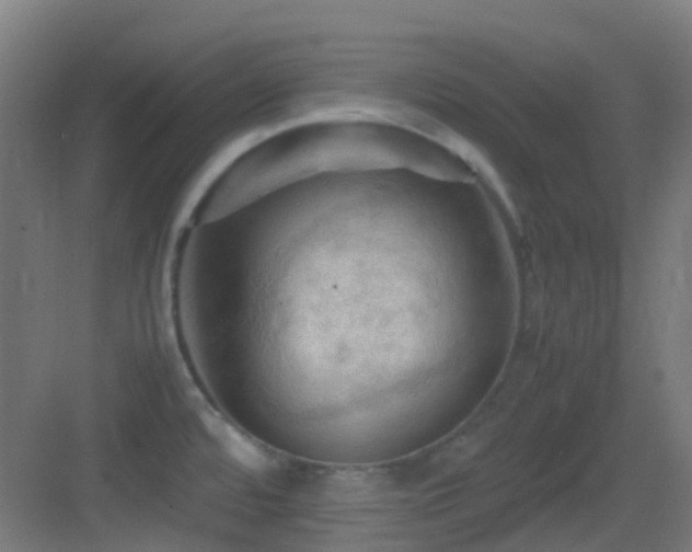 X0000083561480200702091112