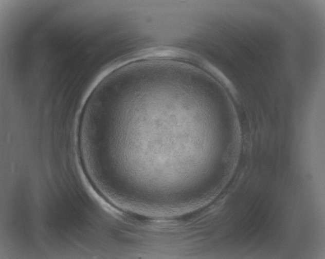 X0000083561483200702091111