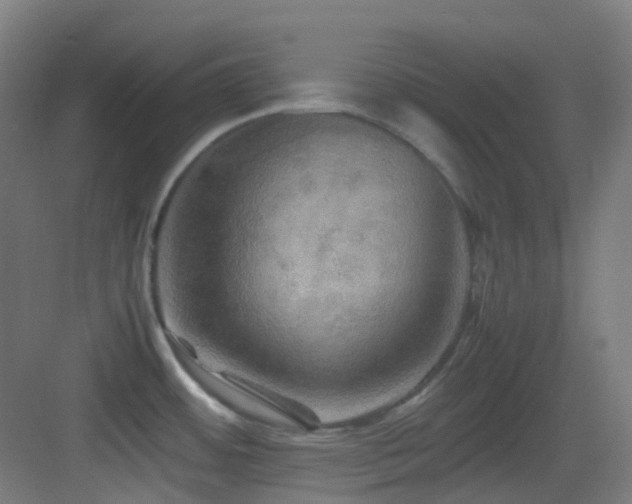 X0000083561484200702091111