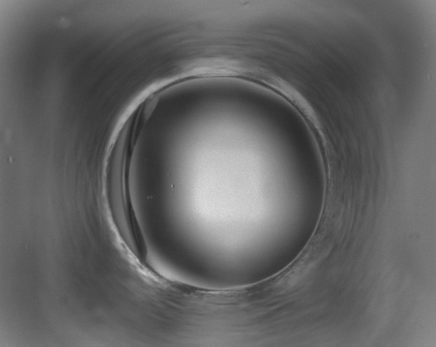 X0000083561488200702091111