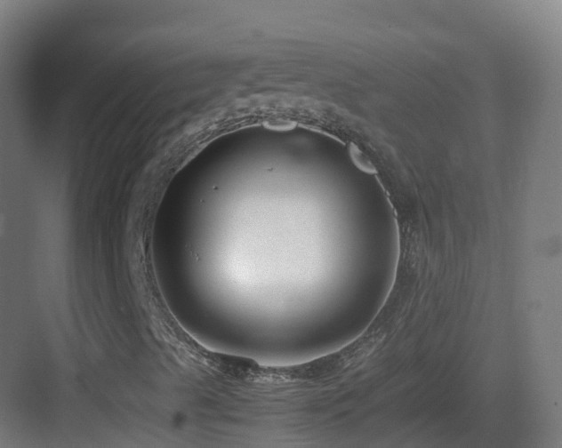 X0000083561489200702091111