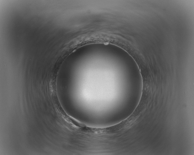 X0000083561490200702091111