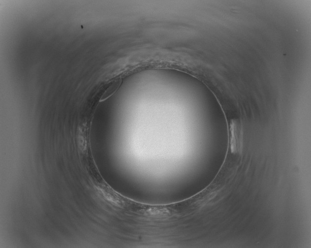 X0000083561491200702091111