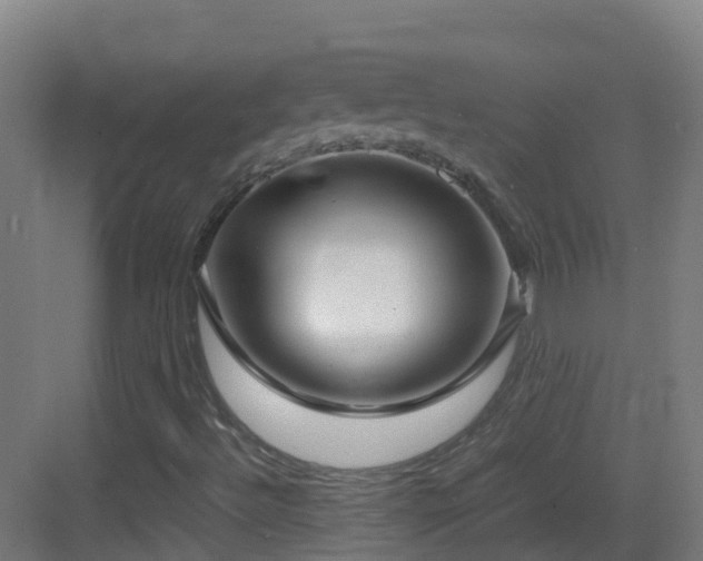 X0000083561492200702091111