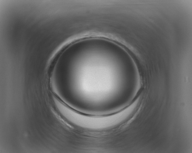 X0000083561502200702091111