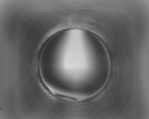 X0000083561507200702091111