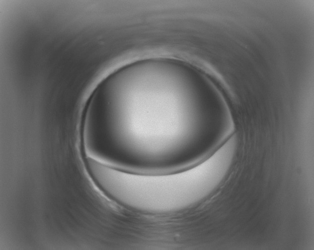 X0000083561512200702091111