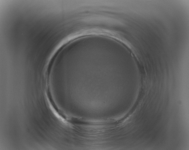X0000083561515200702091111