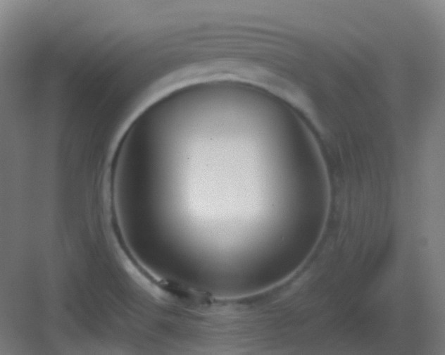 X0000083561516200702091111