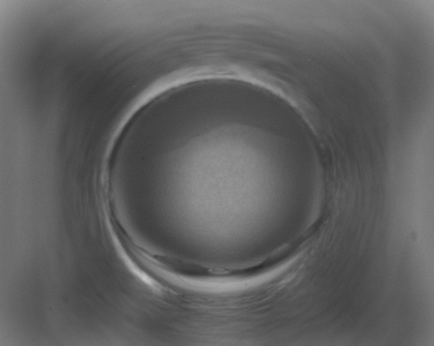 X0000083561519200702091111
