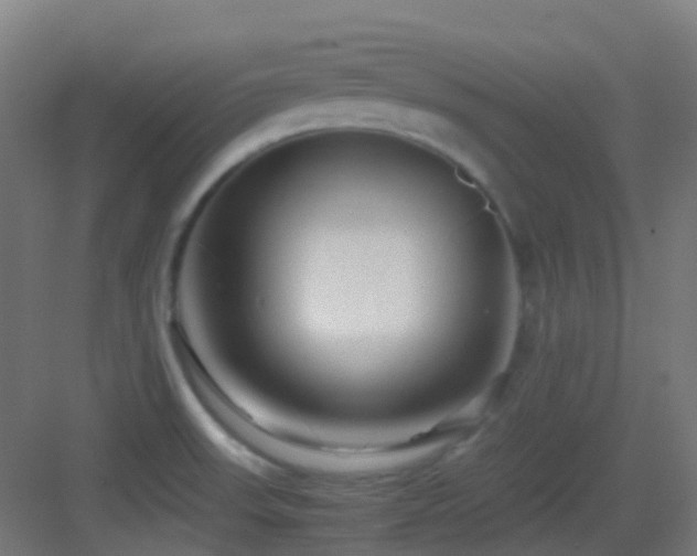 X0000083561523200702091111