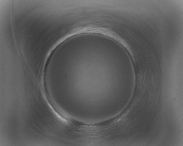X0000083561525200702091111