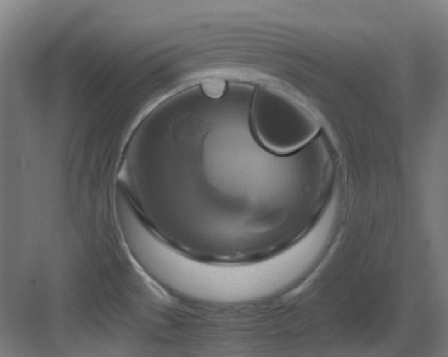 X0000083561529200702091111