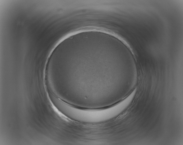 X0000083561535200702091111