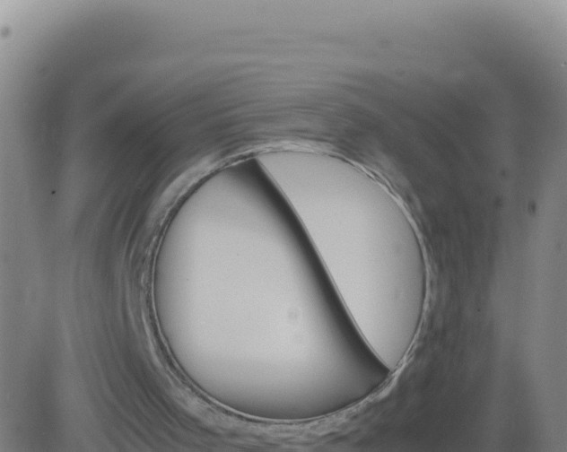 X0000083560001200702162039