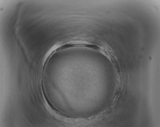 X0000083560003200702162039