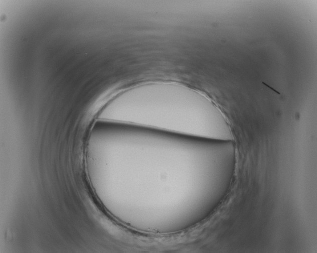 X0000083560005200702162039