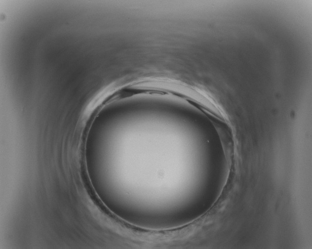 X0000083560007200702162039