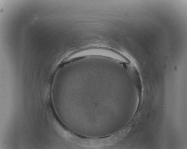 X0000083560009200702162039