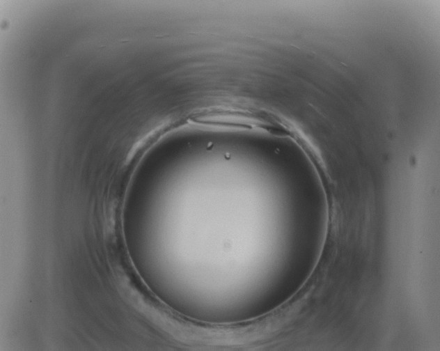 X0000083560010200702162039