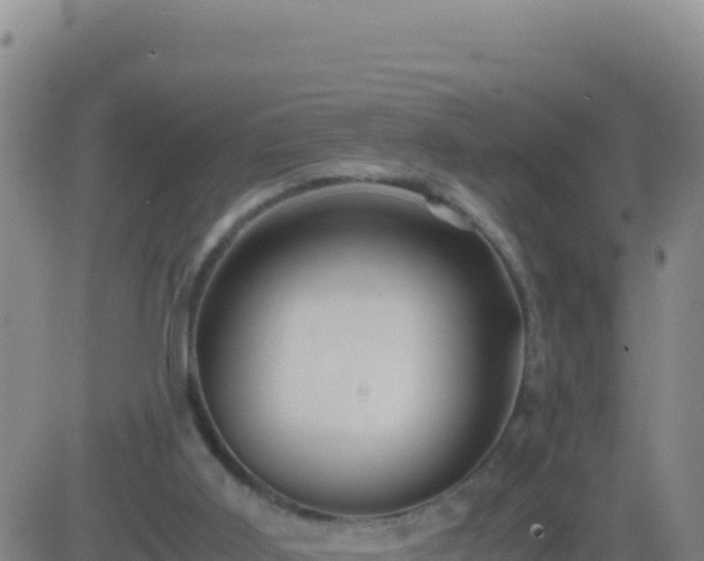 X0000083560011200702162039