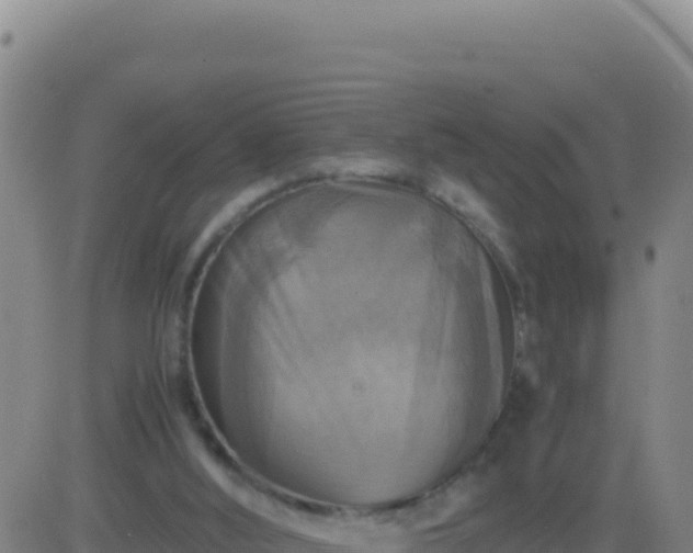 X0000083560012200702162039