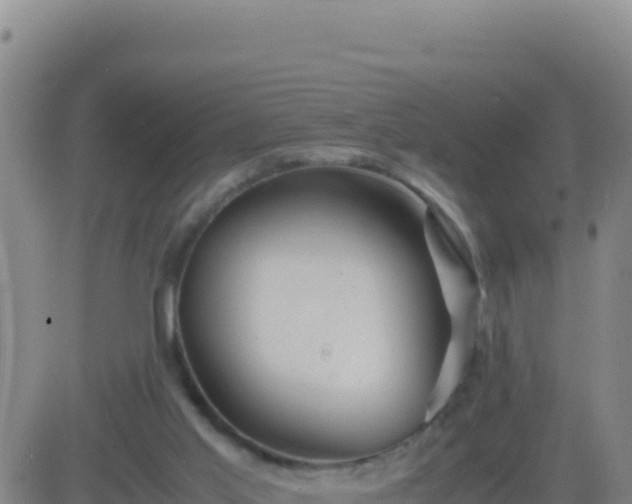 X0000083560013200702162039