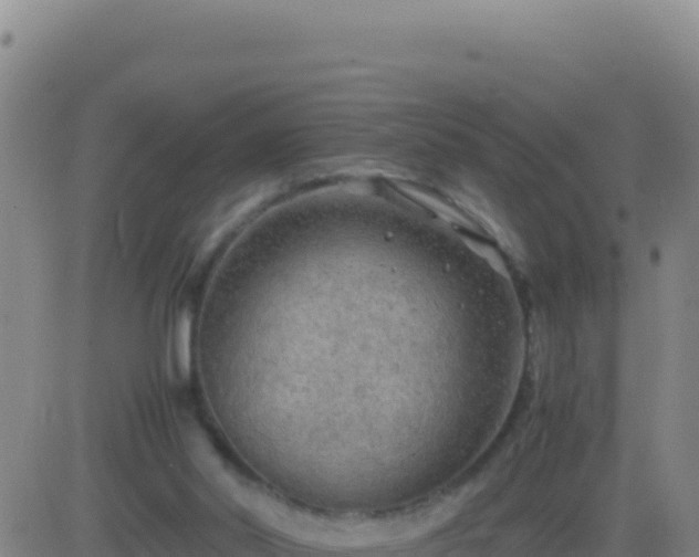 X0000083560014200702162039