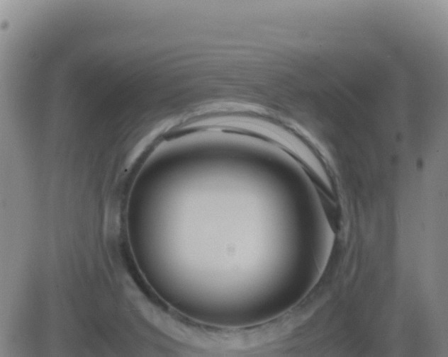 X0000083560015200702162039