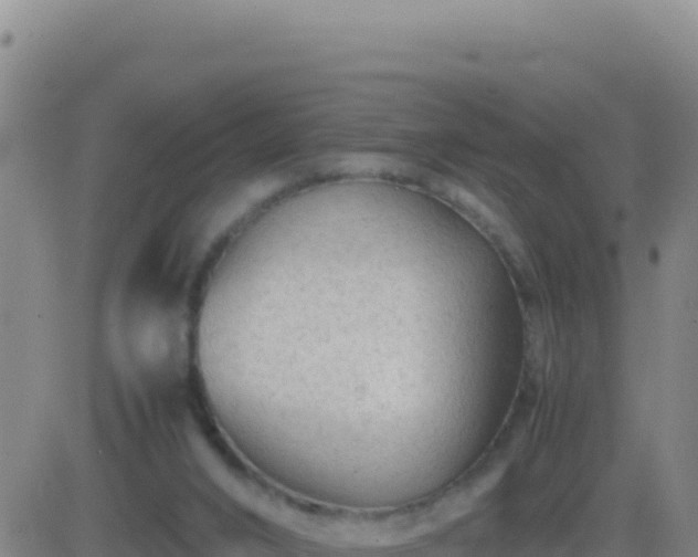 X0000083560016200702162039