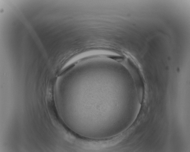 X0000083560017200702162039