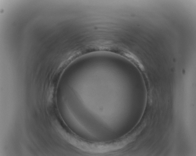 X0000083560018200702162039