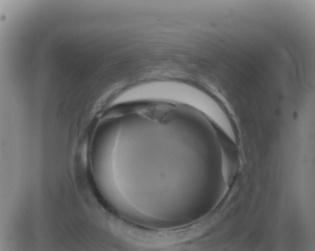 X0000083560019200702162039