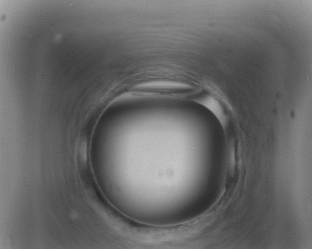 X0000083560021200702162039