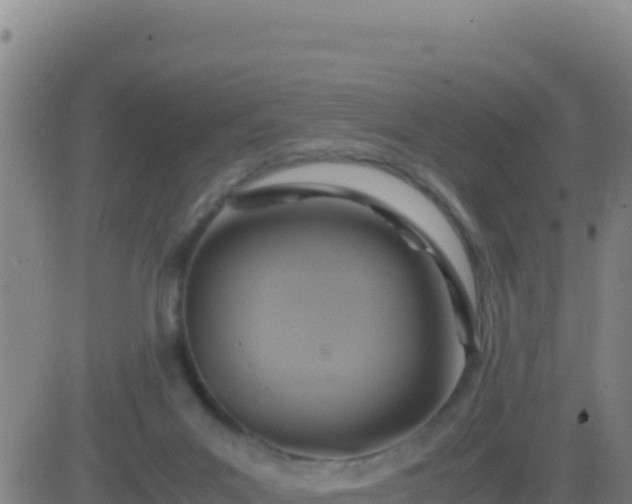 X0000083560023200702162039