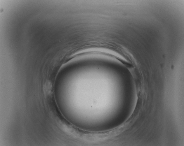 X0000083560025200702162039