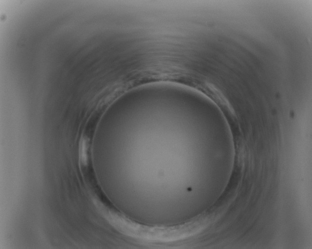 X0000083560026200702162039