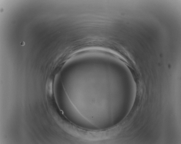 X0000083560027200702162039