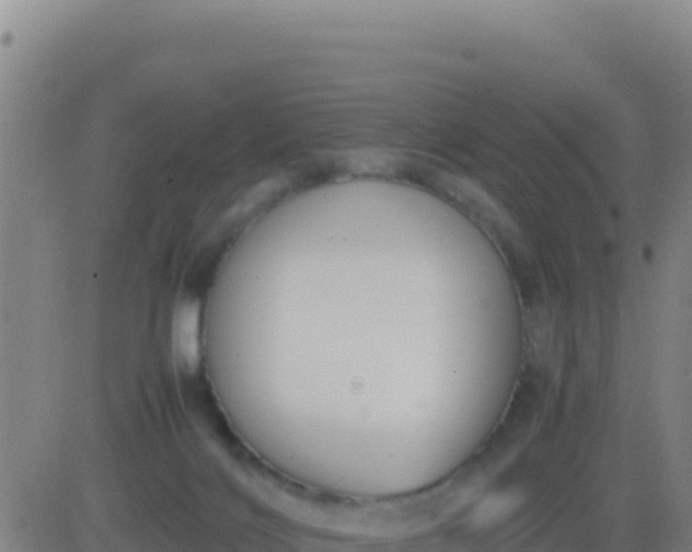 X0000083560028200702162039