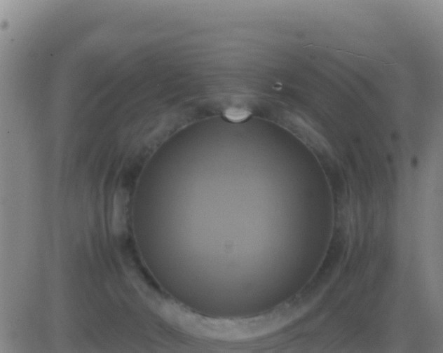 X0000083560030200702162039