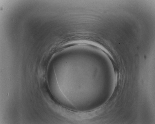 X0000083560031200702162039