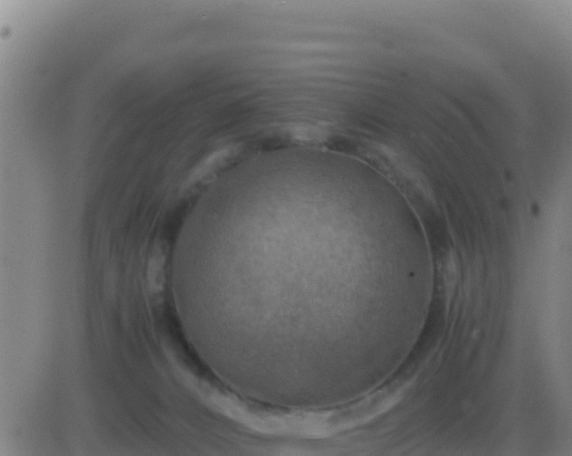 X0000083560032200702162039