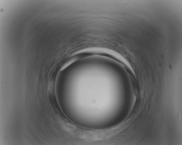 X0000083560033200702162039